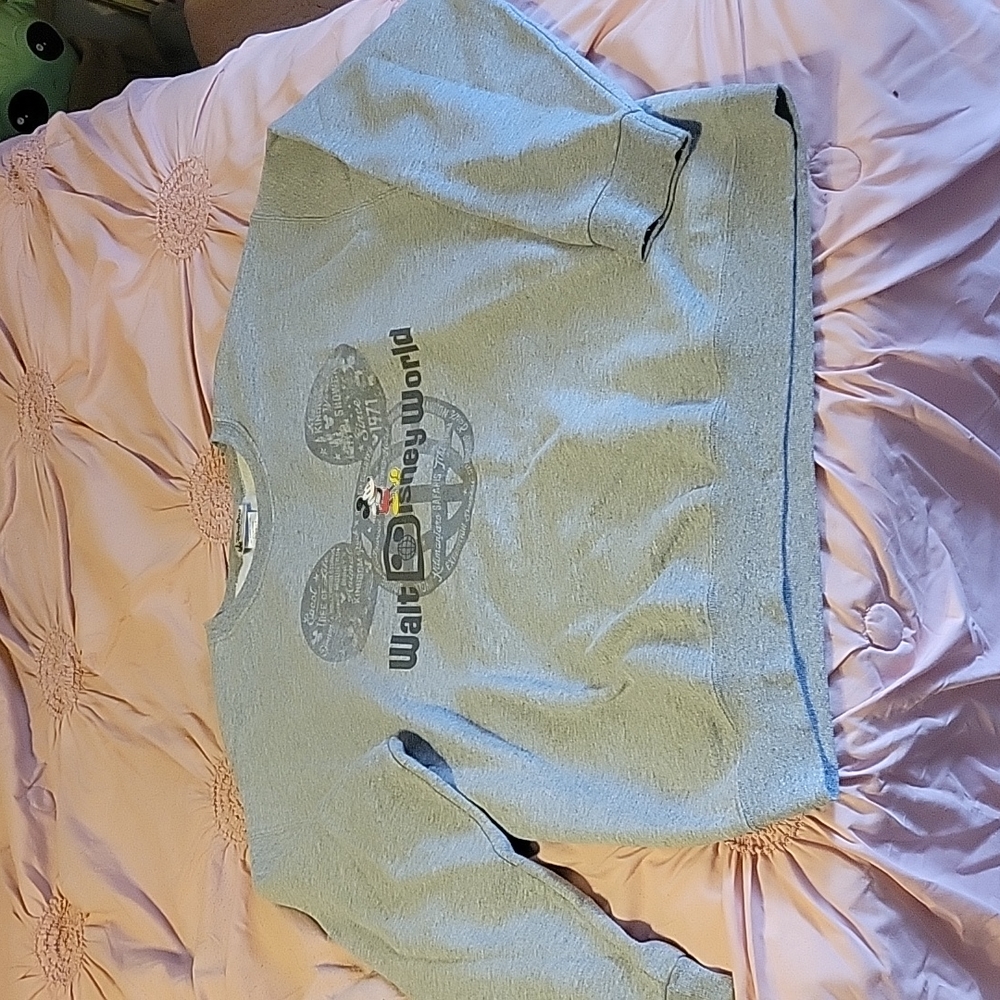 Walt Disney World sweatshirt